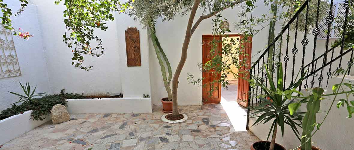 Lush shady courtyard with orange trees