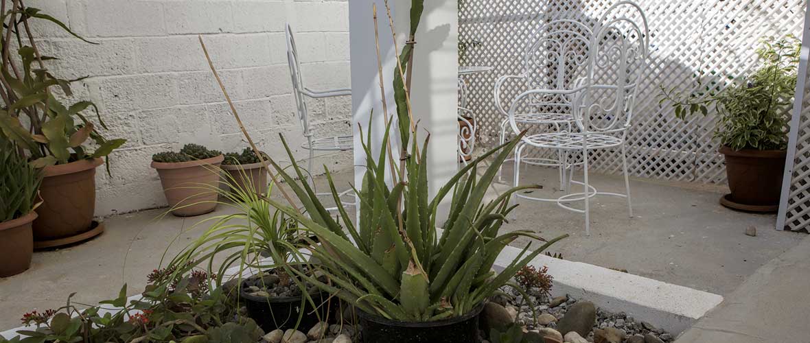 Templar House in the Walled City of Famagusta, Cyprus
